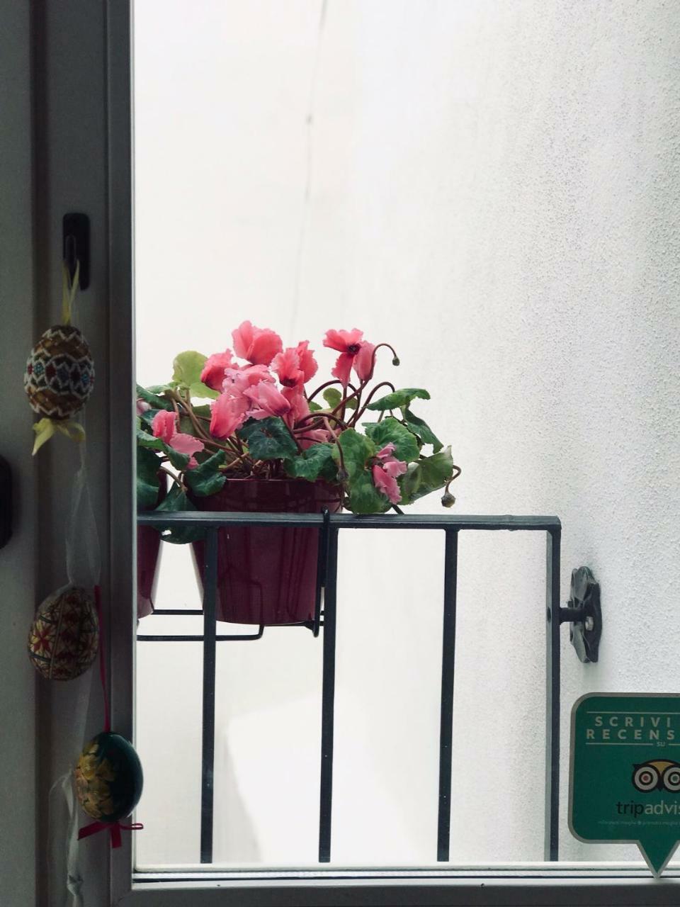 Opuntia Bed & Breakfast Carloforte  Exterior foto
